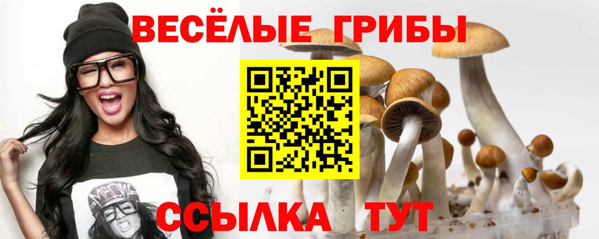 Кумертау  Псилоцибиновые грибы Psilocybine cubensis  Вход с VPN  Галлюциногенные грибы GOLDEN TEACHER 